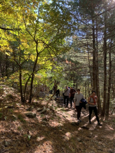 hike